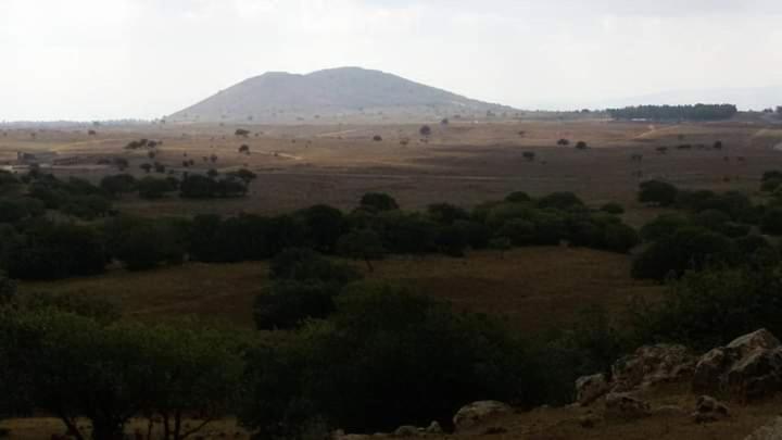 Appartamento יער האלונים Ein Zivan Esterno foto
